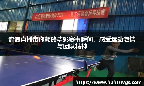 流浪直播带你领略精彩赛事瞬间，感受运动激情与团队精神