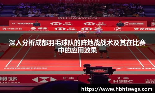 深入分析成都羽毛球队的阵地战战术及其在比赛中的应用效果