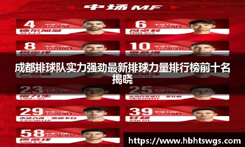 成都排球队实力强劲最新排球力量排行榜前十名揭晓