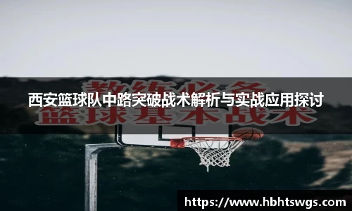 星空·综合体育官方网站